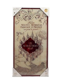 SD Toys Harry Potter Marauder's Map Glazen Poster 30 x 60 cm