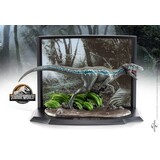 The Noble Collection Jurassic Park Toyllectible Treasure Statue Velociraptor Blue Recon 8 cm