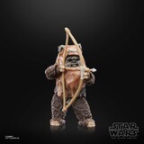 Hasbro Star Wars Episode VI 40th Anniversary Black Series Action Figure Wicket 15 cm Hasbro Star Wars Episode VI 40th Anniversary Black Series Action Figure Wicket 15 cm