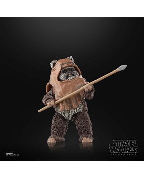 Hasbro Star Wars Episode VI Black Series Action Figure Wicket 15 cm Hasbro Star Wars Episode VI Black Series Action Figure Wicket 15 cm