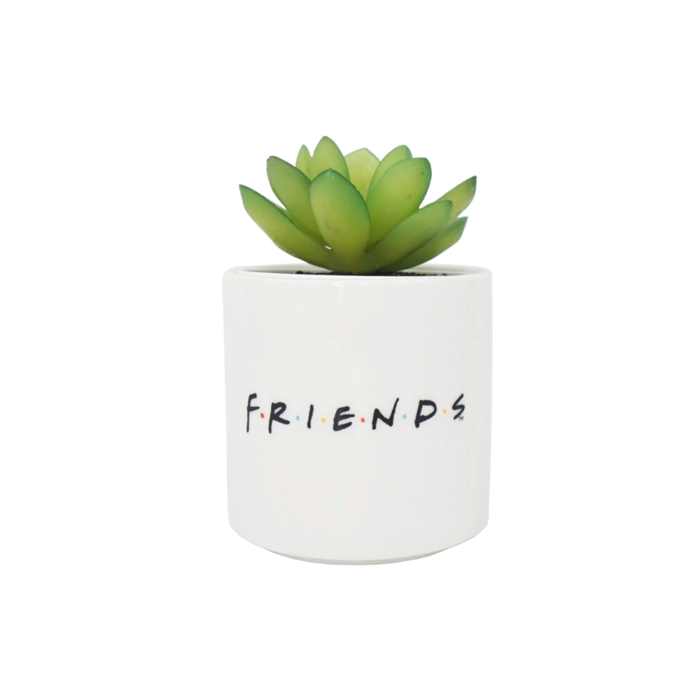 Half Moon Bay Friends Central Perk Plant Pot Half Moon Bay Friends Central Perk Plant Pot