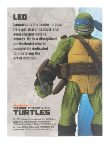 Teenage Mutant Ninja Turtles BST AXN Action Figure Leonardo (IDW Comics) 13  cm - Planet Fantasy