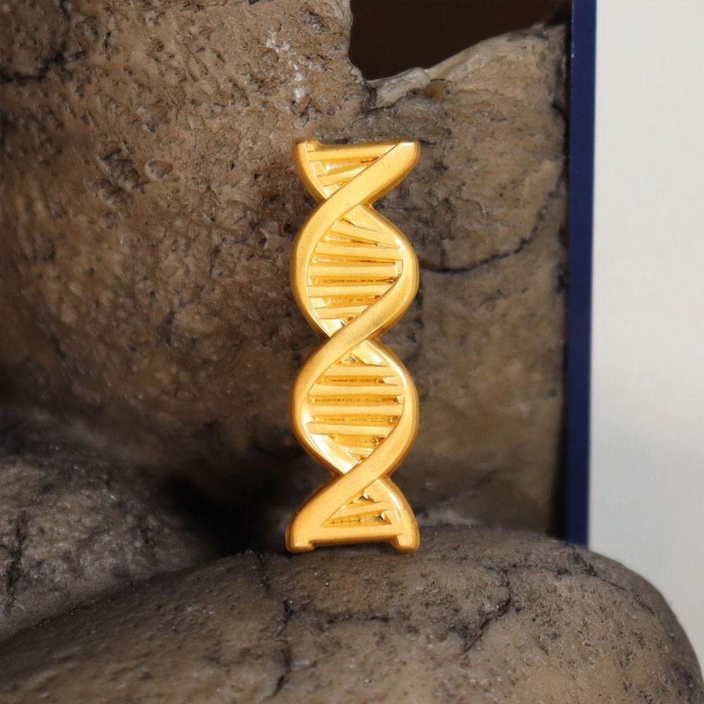 FaNaTtiK Jurassic Park Répliques Premium Box Genetics Division FaNaTtiK Jurassic Park Répliques Premium Box Genetics Division