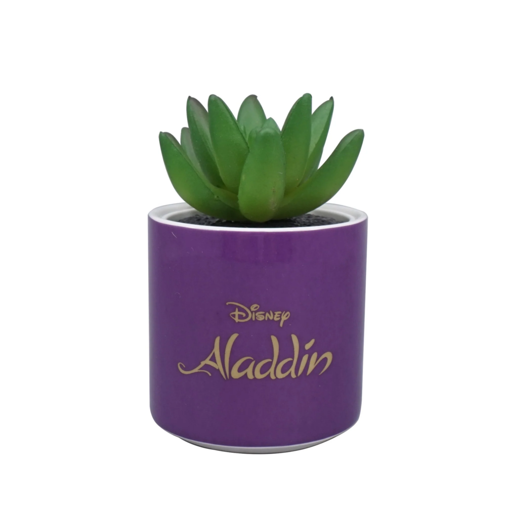 Half Moon Bay Aladdin Plant Pot Half Moon Bay Aladdin Plant Pot