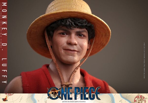 Monkey. D. Luffy Sixth Scale Figure by Hot Toys