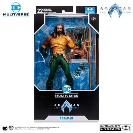 Aquaman and the Lost Kingdom DC Multiverse Action Figure Aquaman 18 cm -  Planet Fantasy