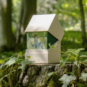 Accessoires Accessoires