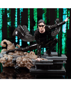 Diamond Select Toys The Matrix Gallery Deluxe PVC Statue Trinity Diamond Select Toys The Matrix Gallery Deluxe PVC Statue Trinity