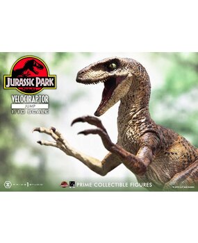 Prime 1 Studio Jurassic Park Prime Collectibles Statue 1/10 Velociraptor Jump 21 cm Prime 1 Studio Jurassic Park Prime Collectibles Statue 1/10 Velociraptor Jump 21 cm