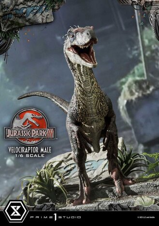 Prime 1 Studio Jurassic Park III Legacy Museum Collection Statue 1/6 Velociraptor Male 40 cm Prime 1 Studio Jurassic Park III Legacy Museum Collection Statue 1/6 Velociraptor Male 40 cm