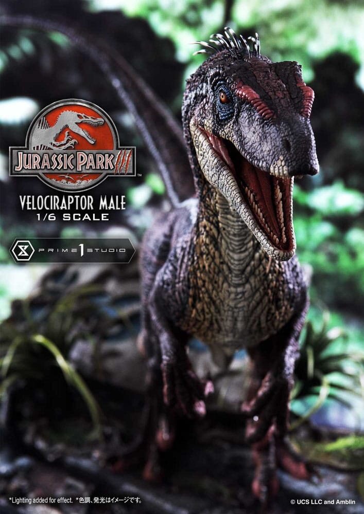 Prime 1 Studio Jurassic Park III Legacy Museum Collection Statue 1/6 Velociraptor Male 40 cm Prime 1 Studio Jurassic Park III Legacy Museum Collection Statue 1/6 Velociraptor Male 40 cm