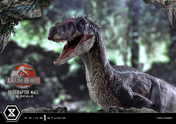 Prime 1 Studio Jurassic Park III Legacy Museum Collection Statue 1/6 Velociraptor Male 40 cm Prime 1 Studio Jurassic Park III Legacy Museum Collection Statue 1/6 Velociraptor Male 40 cm