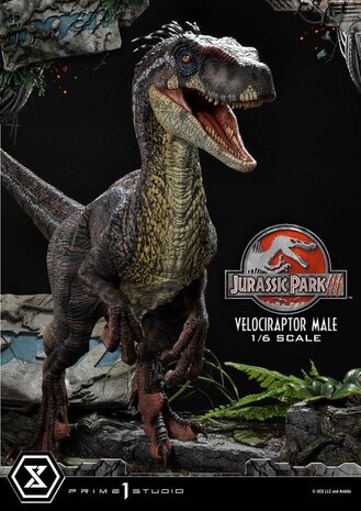 Prime 1 Studio Jurassic Park III Legacy Museum Collection Statue 1/6 Velociraptor Male 40 cm Prime 1 Studio Jurassic Park III Legacy Museum Collection Statue 1/6 Velociraptor Male 40 cm