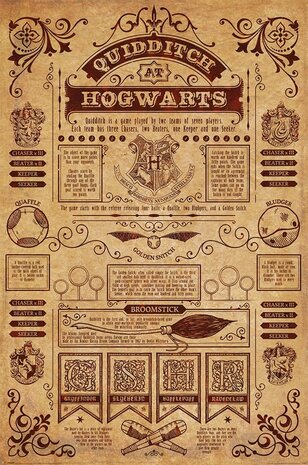 Harry Potter Poster Quidditch at Hogwarts 91 x 61 cm - Planet Fantasy