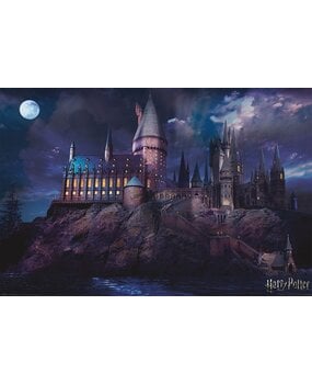 Harry Potter Hogwarts Poster 91 x 61 cm - Planet Fantasy