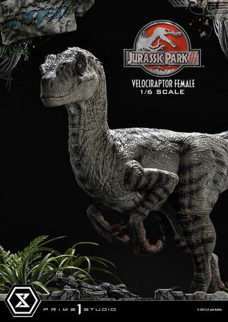 Prime 1 Studio Jurassic Park III Legacy Museum Collection Statue 1/6 Velociraptor Female 44 cm Prime 1 Studio Jurassic Park III Legacy Museum Collection Statue 1/6 Velociraptor Female 44 cm