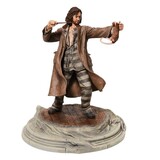 Enesco Harry Potter Sirius Black Prisoner 23 cm
