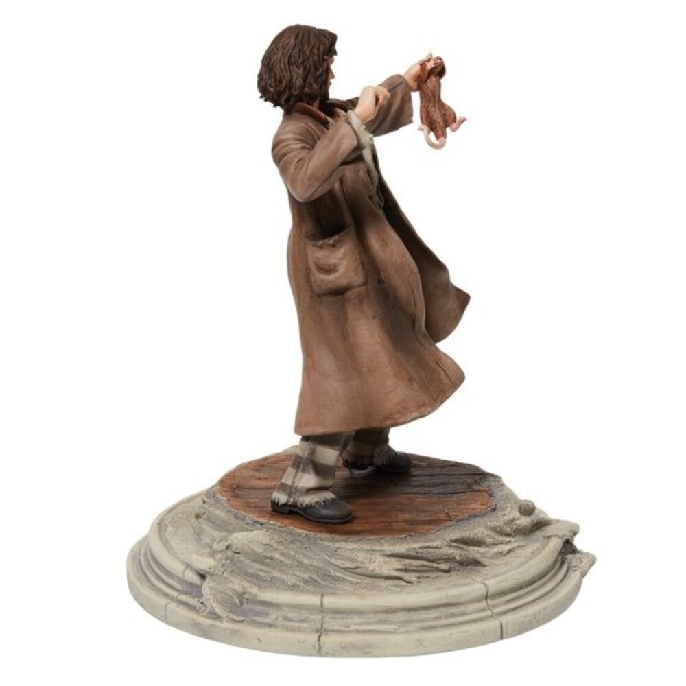 Enesco Harry Potter Sirius Black Prisoner 23 cm