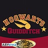 ABY Style Harry Potter Quidditch Pet ABY Style Harry Potter Quidditch Pet