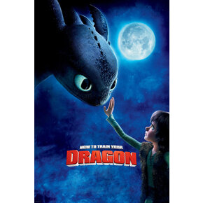 How To Train Your Dragon How To Train Your Dragon