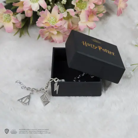 Cinereplicas Harry Potter 5 Charms Bracelet Cinereplicas Harry Potter 5 Charms Bracelet