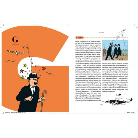Tintinimaginatio Tintin from A to Z Livre *Anglais*