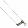 The Carat Shop Harry Potter Slytherin Plaque Ketting
