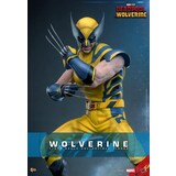 Hot Toys Deadpool & Wolverine Action Figure 1/6 Wolverine 31 cm Hot Toys Deadpool & Wolverine Action Figure 1/6 Wolverine 31 cm
