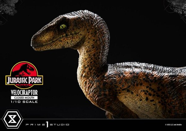 Prime 1 Studio Jurassic Park Prime Collectibles Statue 1/10 Velociraptor Closed Mouth 19 cm Prime 1 Studio Jurassic Park Prime Collectibles Statue 1/10 Velociraptor Closed Mouth 19 cm