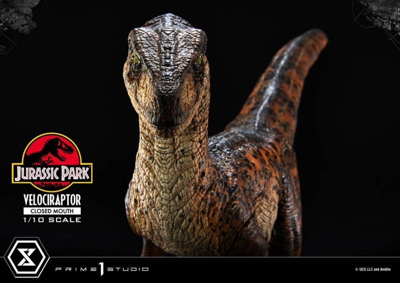 Prime 1 Studio Jurassic Park Prime Collectibles Statue 1/10 Velociraptor Closed Mouth 19 cm Prime 1 Studio Jurassic Park Prime Collectibles Statue 1/10 Velociraptor Closed Mouth 19 cm
