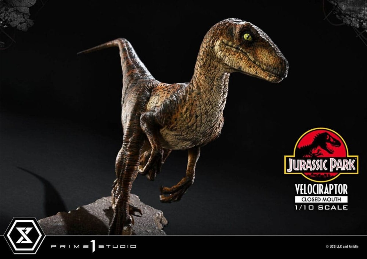 Prime 1 Studio Jurassic Park Prime Collectibles Statue 1/10 Velociraptor Closed Mouth 19 cm Prime 1 Studio Jurassic Park Prime Collectibles Statue 1/10 Velociraptor Closed Mouth 19 cm
