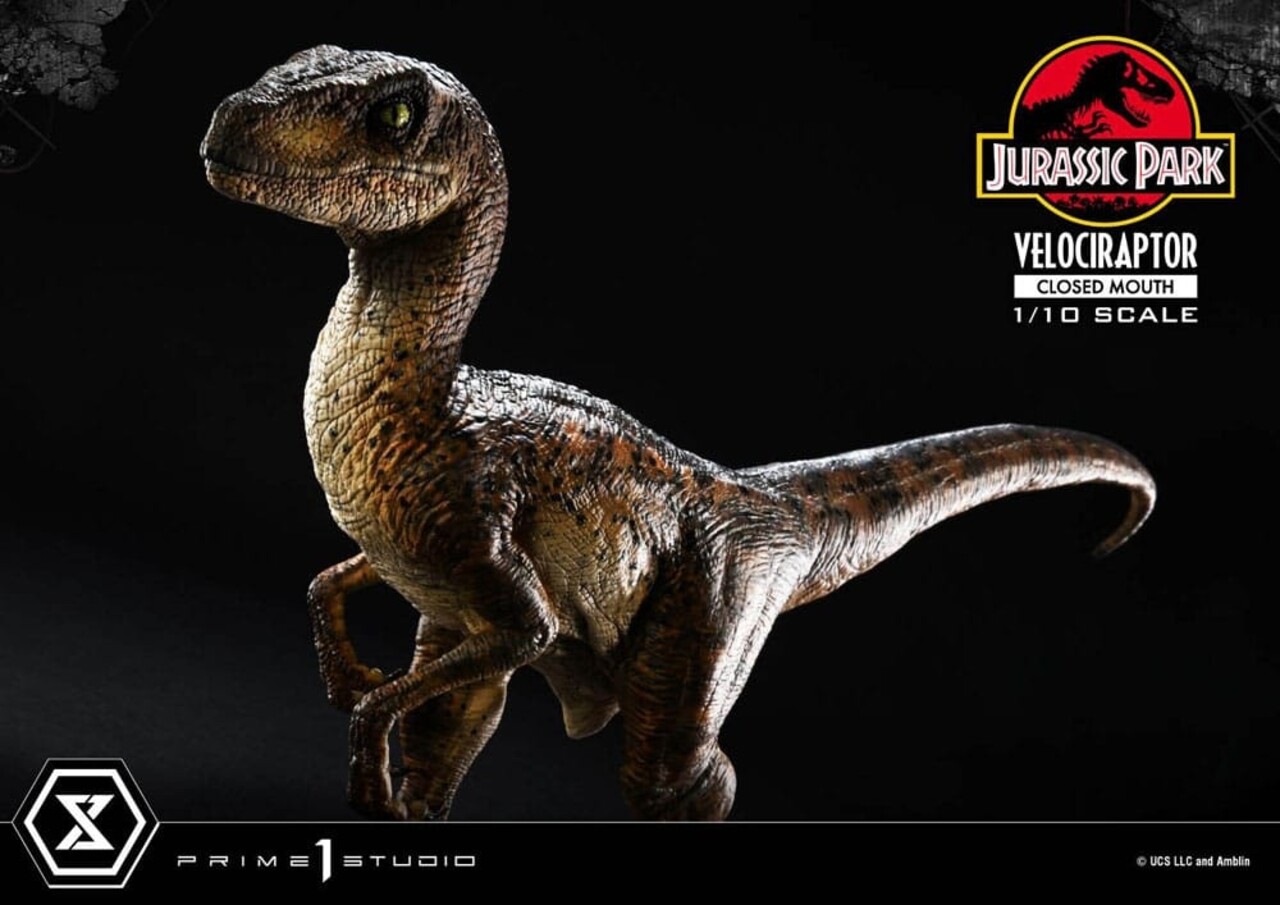 Prime 1 Studio Jurassic Park Prime Collectibles Statue 1/10 Velociraptor Closed Mouth 19 cm Prime 1 Studio Jurassic Park Prime Collectibles Statue 1/10 Velociraptor Closed Mouth 19 cm