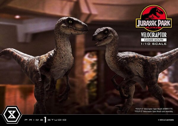 Prime 1 Studio Jurassic Park Prime Collectibles Statue 1/10 Velociraptor Closed Mouth 19 cm Prime 1 Studio Jurassic Park Prime Collectibles Statue 1/10 Velociraptor Closed Mouth 19 cm