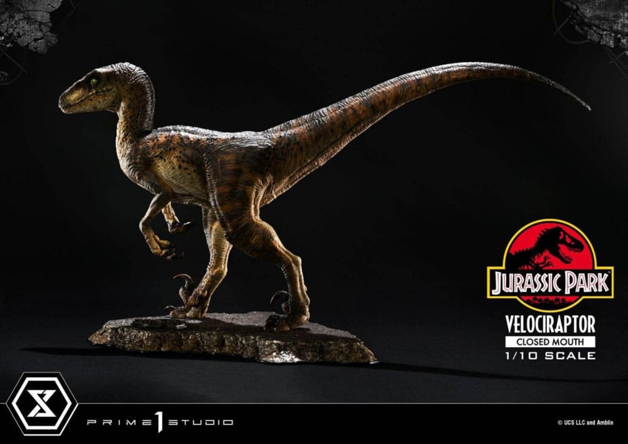 Prime 1 Studio Jurassic Park Prime Collectibles Statue 1/10 Velociraptor Closed Mouth 19 cm Prime 1 Studio Jurassic Park Prime Collectibles Statue 1/10 Velociraptor Closed Mouth 19 cm