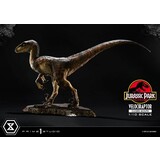 Prime 1 Studio Jurassic Park Prime Collectibles Statue 1/10 Velociraptor Closed Mouth 19 cm Prime 1 Studio Jurassic Park Prime Collectibles Statue 1/10 Velociraptor Closed Mouth 19 cm