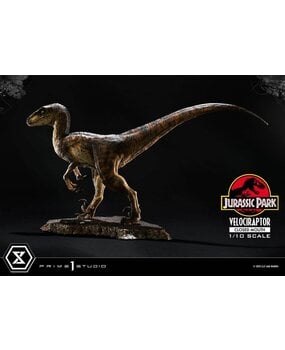Prime 1 Studio Jurassic Park Prime Collectibles Statue 1/10 Velociraptor Closed Mouth 19 cm Prime 1 Studio Jurassic Park Prime Collectibles Statue 1/10 Velociraptor Closed Mouth 19 cm