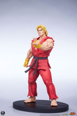 PCS Street Fighter Street Jam Statue 1/10 Ken & Vega Set PCS Street Fighter Street Jam Statue 1/10 Ken & Vega Set