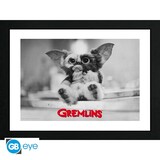 ABY Style Gremlins Gizmo Framed Print 30 x 40 cm ABY Style Gremlins Gizmo Framed Print 30 x 40 cm