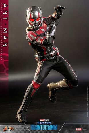 Hot Toys Ant-Man & The Wasp: Quantumania Movie Masterpiece Action Figure 1/6 Ant-Man 30 cm Hot Toys Ant-Man & The Wasp: Quantumania Movie Masterpiece Action Figure 1/6 Ant-Man 30 cm