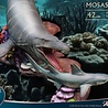 Star Ace Toys Wonders of the Wild Statue Mosasaurus (DX) 42 cm Star Ace Toys Wonders of the Wild Statue Mosasaurus (DX) 42 cm