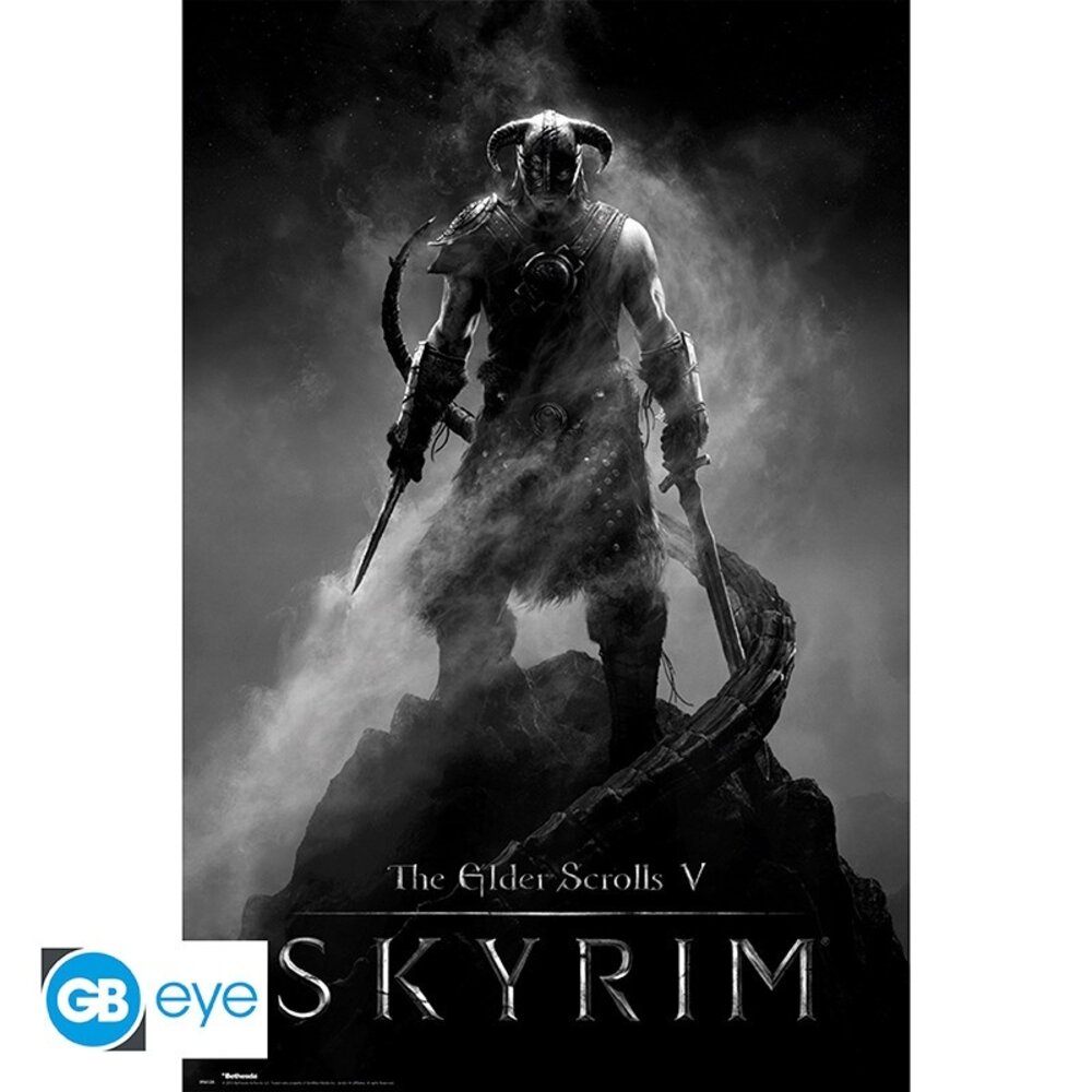 ABY Style Skyrim Dragonborn Poster 91.5 x 61cm ABY Style Skyrim Dragonborn Poster 91.5 x 61cm