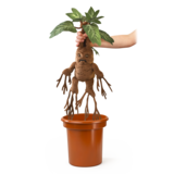 The Noble Collection Harry Potter Mandrake Interactive Plush