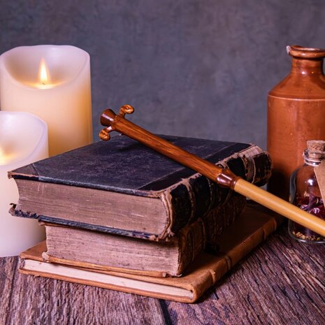 The Noble Collection Harry Potter Baguette Magique Gilderoy Lockhart (Ollivanders) The Noble Collection Harry Potter Baguette Magique Gilderoy Lockhart (Ollivanders)