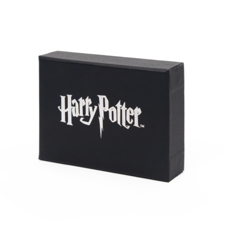 The Noble Collection Harry Potter Gold Plated Ketting Hermione The Noble Collection Harry Potter Gold Plated Ketting Hermione