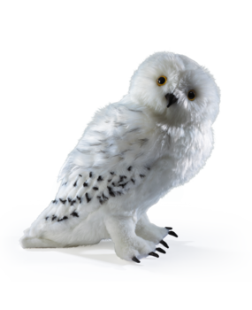The Noble Collection Harry Potter Hedwig Knuffel 30 cm The Noble Collection Harry Potter Hedwig Knuffel 30 cm