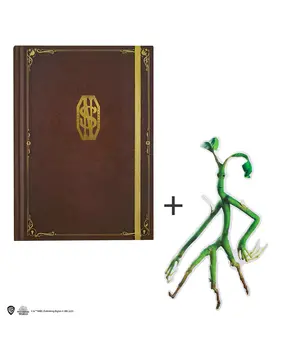 Cinereplicas Fantastic Beasts Newt Scamander Notebook & Bookmark Cinereplicas Fantastic Beasts Newt Scamander Notebook & Bookmark