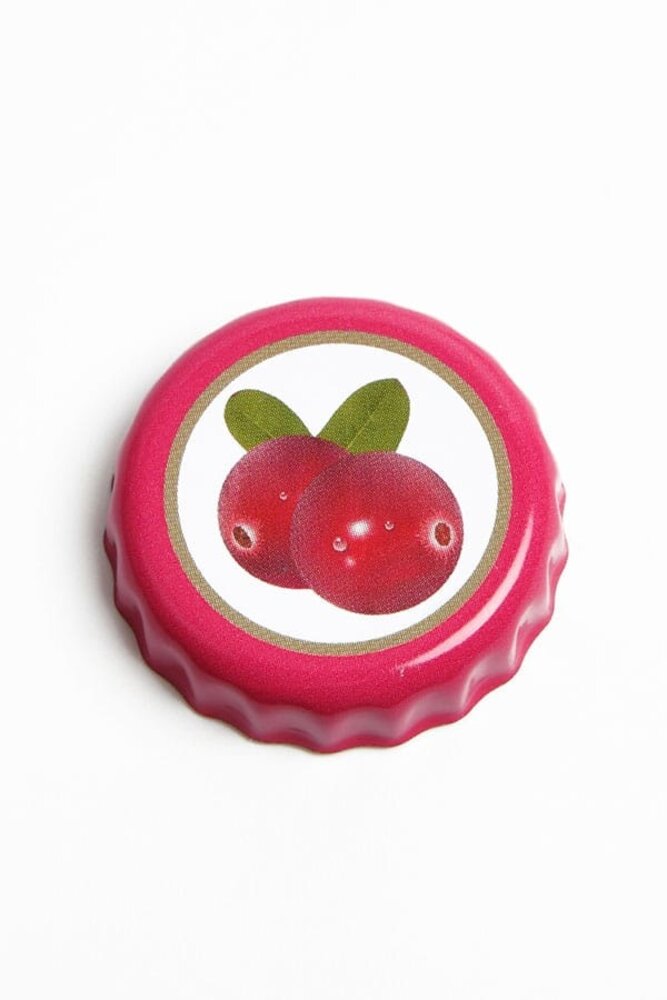 DEVplus Fallout Botlle Series Glass Bottle & Cap Nuka Cola Cranberry DEVplus Fallout Botlle Series Glass Bottle & Cap Nuka Cola Cranberry