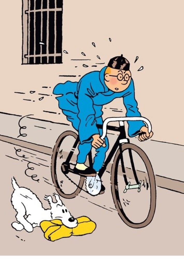 Tintinimaginatio Plastic Fold A4 The Blue Lotus