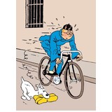 Tintinimaginatio Plastic Fold A4 The Blue Lotus