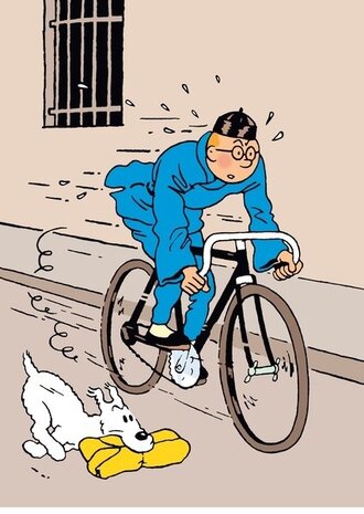 Tintinimaginatio Plastic Fold A4 The Blue Lotus